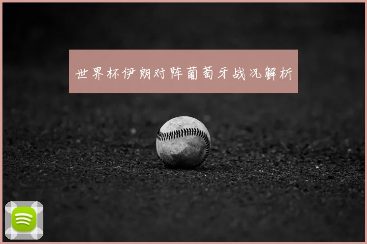 世界杯伊朗对阵葡萄牙战况解析