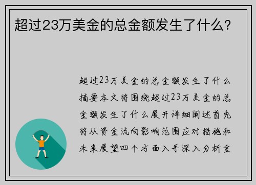 超过23万美金的总金额发生了什么？